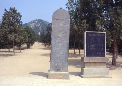 96-8-2-78.jpg