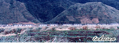 ilala.jpg
