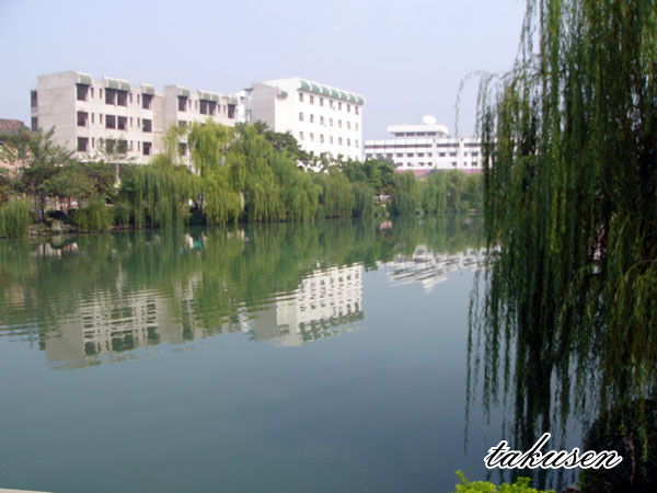 110.jpg